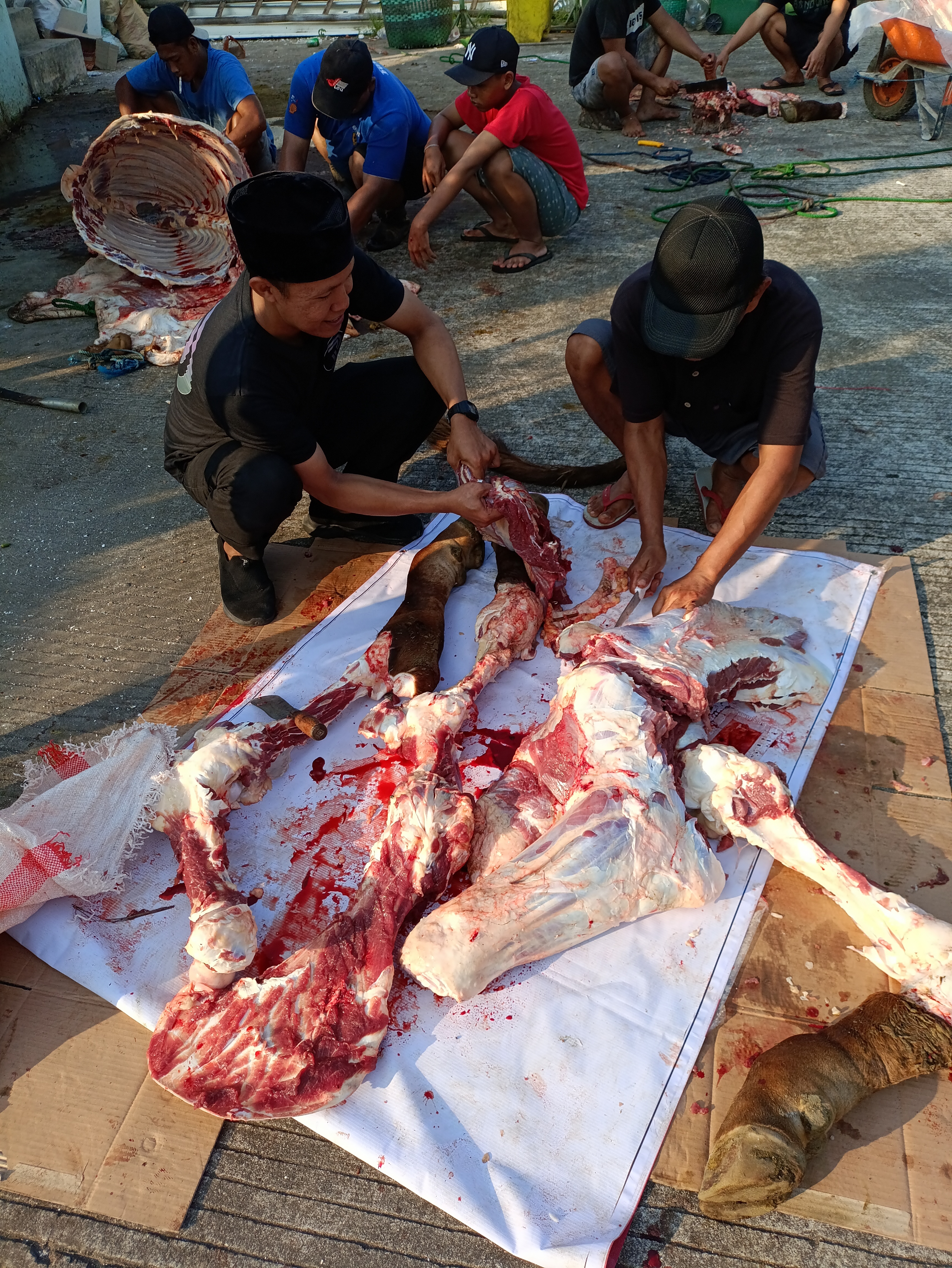 Dokumentasi Idul Adha 1